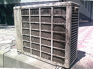 image003_3.jpg