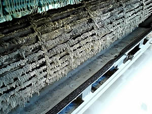 image002_2.jpg